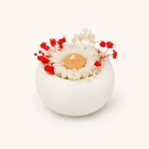 Bougie fleur — petit pot, marguerite & baies rouges